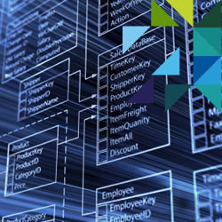 Servicios de base de datos ORACLE y SQL Server